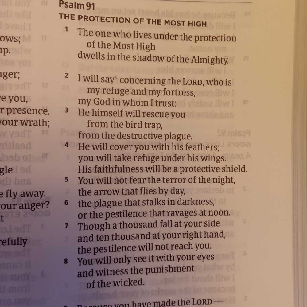 Apologitics NIB Leather Study Bible For Students. Christian StandardBlack& Tan - Picture 9 of 10